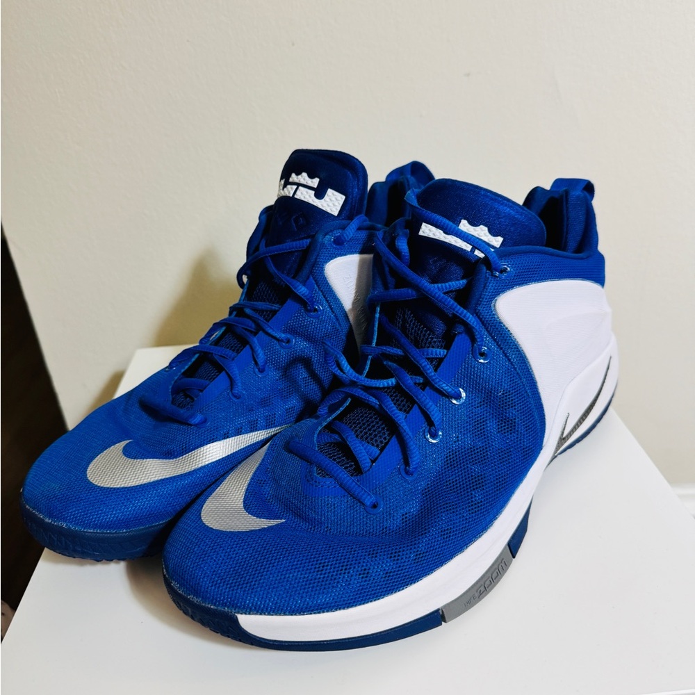 Nike Lebron Zoom Witness